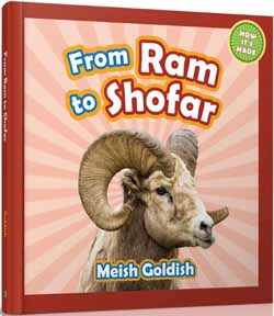 From Ram to Shofar