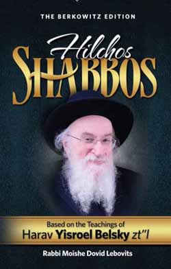Hilchos Shabbos - Harav Yisroel Belsk