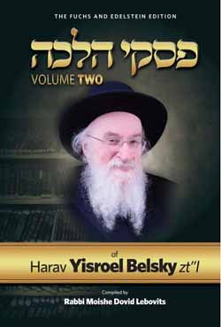 Piskei Halachah of Harav Yisroel Belsky Vol. 2