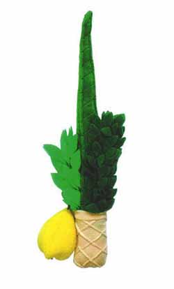 Soft Lulav And Etrog For Kids