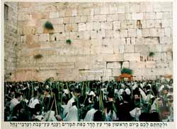 Kotel