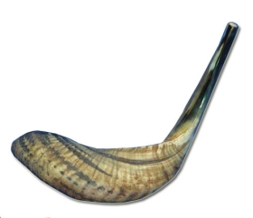 Shofar Size 6