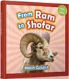 From Ram to Shofar