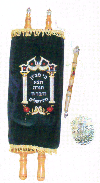 Large Sefer Torah Velvet Cover 19"