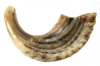 Shofar Size 1