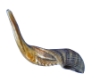 Shofar Size 5